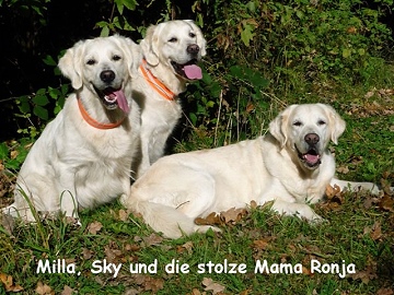 Sky, Milla und Ronja