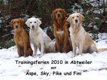 Trainingsferien in Abtweiler 