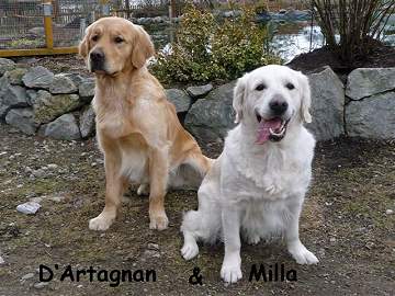 D'Artagnan und Milla