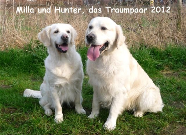 Milla und Hunter  Traumpaar 2012