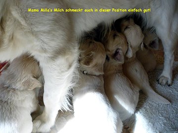 Mama's Milch