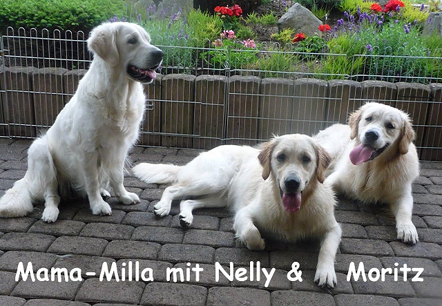 Nelly und Moritz