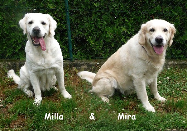 Milla und Mira 
