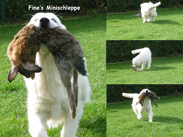 Fine's Minischleppe  