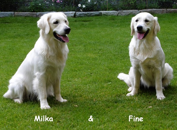 Milka und Fine 