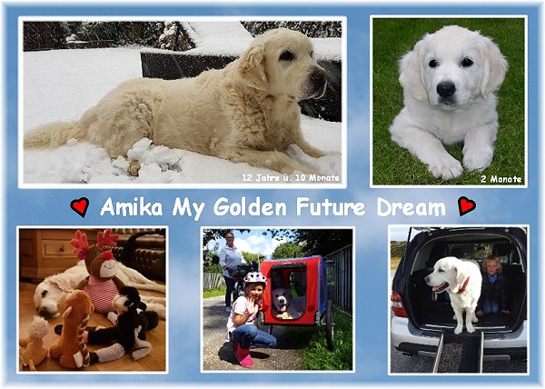 Amika My Golden Future Dream 