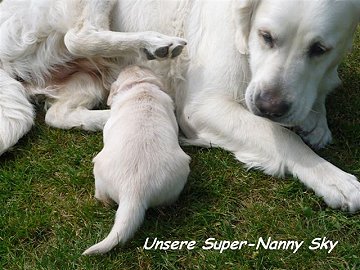 Super-Nanny Sky